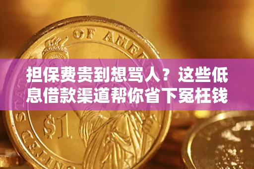 济南担保费贵到想骂人？这些低息借款渠道帮你省下冤枉钱