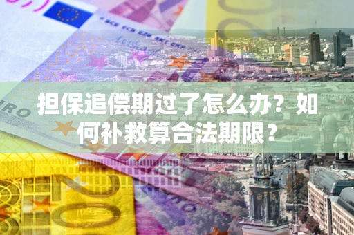 济南担保追偿期过了怎么办？如何补救算合法期限？