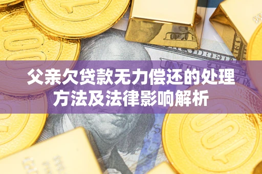 济南父亲欠贷款无力偿还的处理方法及法律影响解析