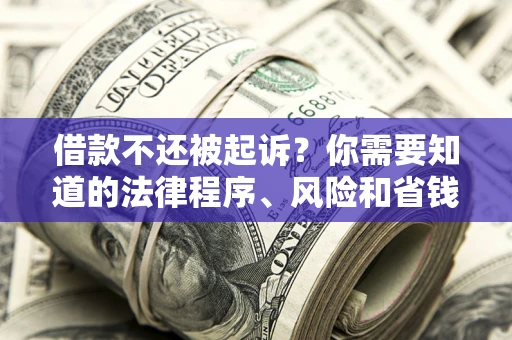 济南借款不还被起诉？你需要知道的法律程序、风险和省钱技巧