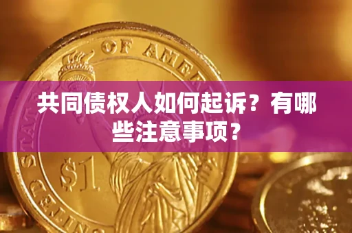济南共同债权人如何起诉？有哪些注意事项？